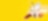 Shell app