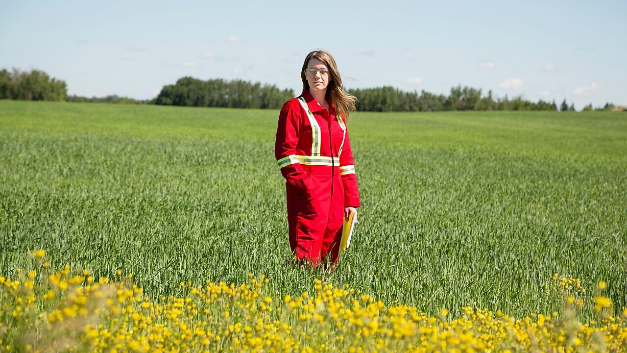 Një punonjës që qëndron pranë një fushe Quest C02 pus injeksioni në verilindje të Edmonton, Alberta në Canada.